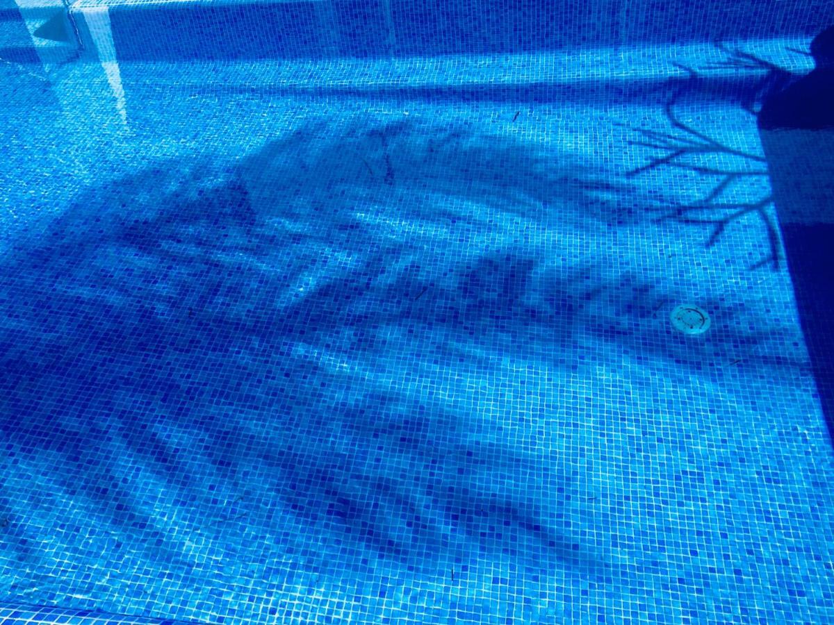 Abrigo Da Madeira Villa Arco da Calheta  Buitenkant foto